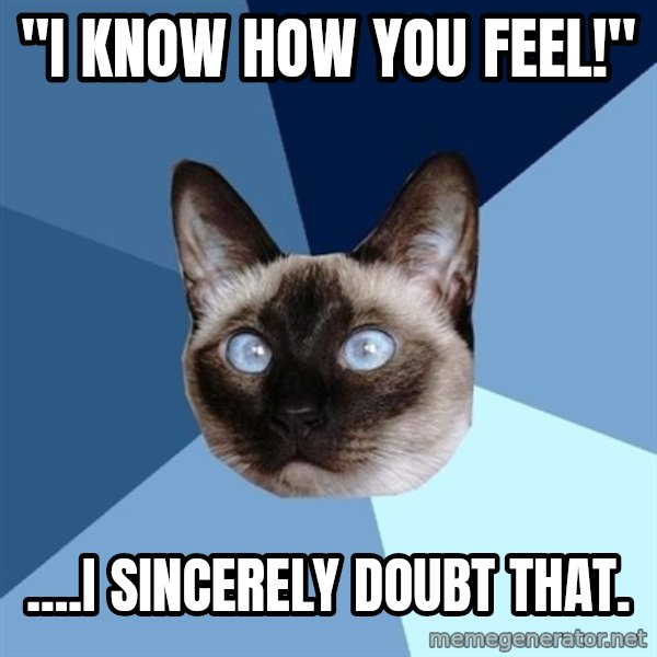 Chronic Illness Cat meme: "I know how you feel!" / ....I sincerely doubt that.