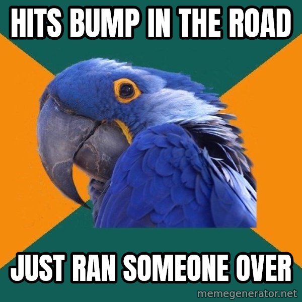 Paranoid Parrot meme: hits bump in the road / just ran someone over