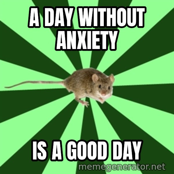 Mental Illness Mouse meme: a day without anxiety / is a good day