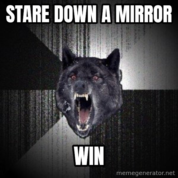 Insanity Wolf meme: stare down a mirror / win