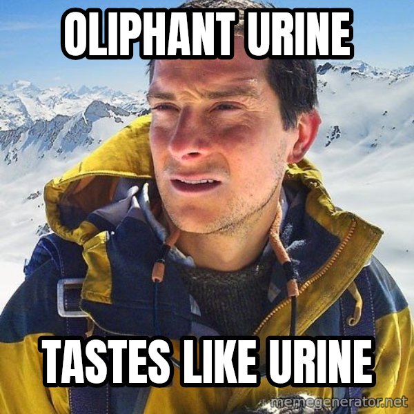 Bear Grylls meme: OLIPHANT URINE / TASTES LIKE URINE