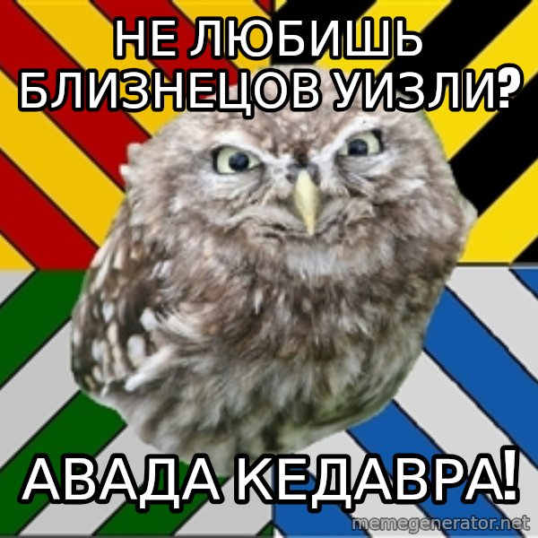 JEALOUS POTTEROMAN meme: Не любишь близнецов уизли? / Авада кедавра!