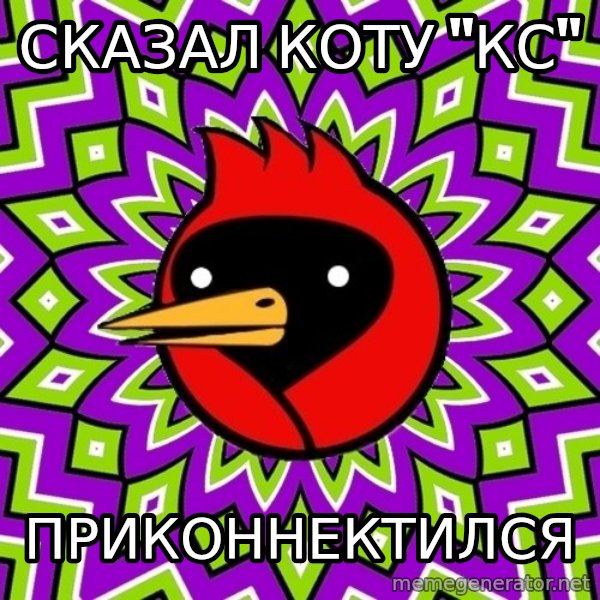 Omsk Crow meme: Сказал коту "КС" / Приконнектился