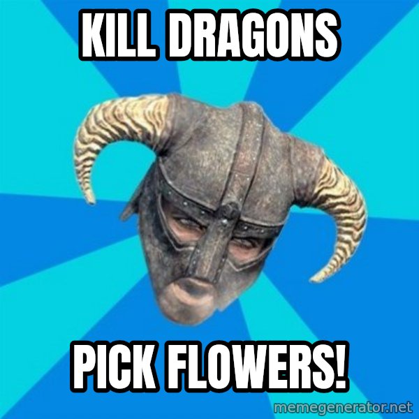 skyrim stan meme: Kill dragons / pick flowers!
