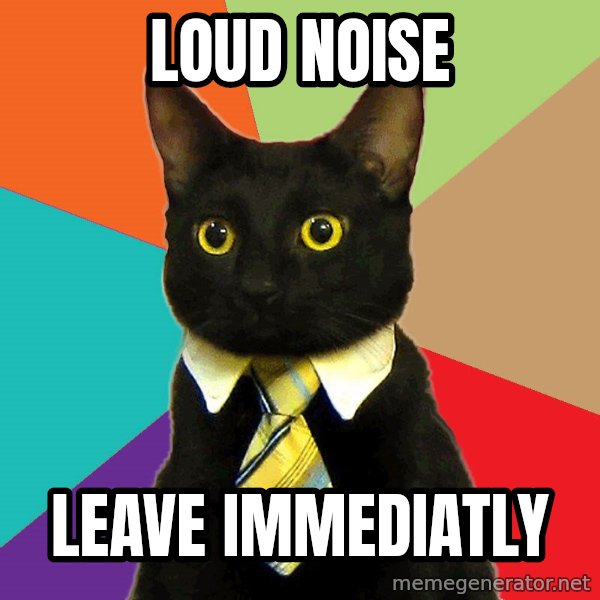Business Cat meme: loud noise / leave immediatly