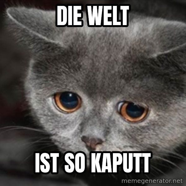 Sadcat meme: die welt / ist so kaputt