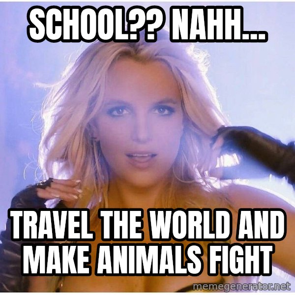 Professor Oak meme: School?? Nahh... / Travel the world and make animals fight