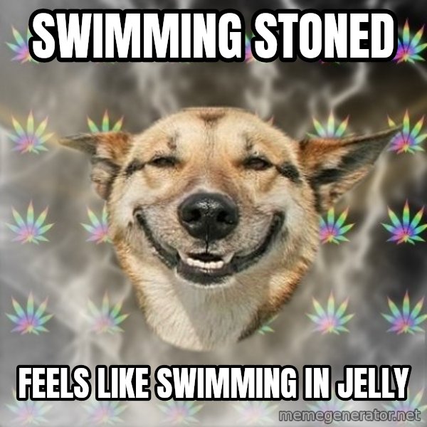 Stoner Dog meme: swimming stoned / feels like swimming in jelly