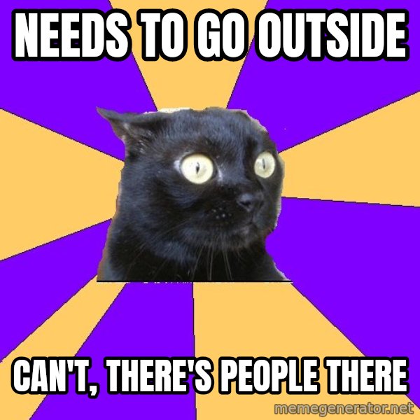 Anxiety Cat meme: needs to go outside / can't, there's people there