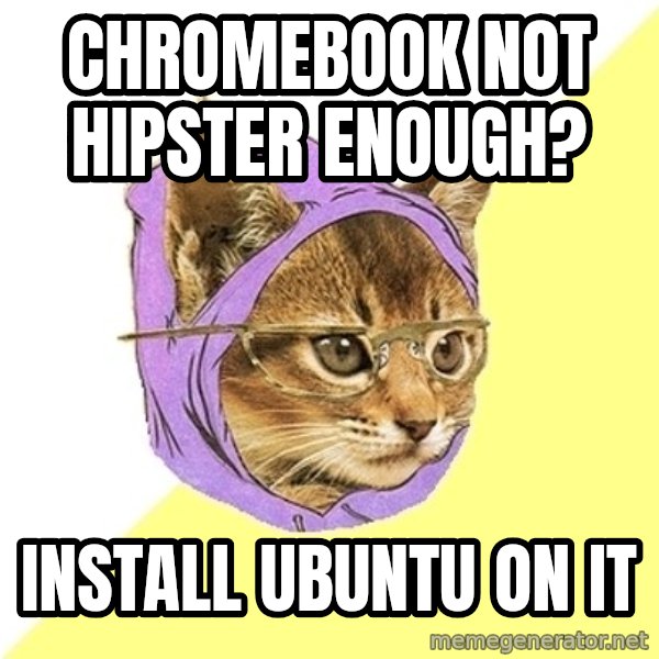 Hipster Kitty meme: chromebook not hipster enough? / install ubuntu on it