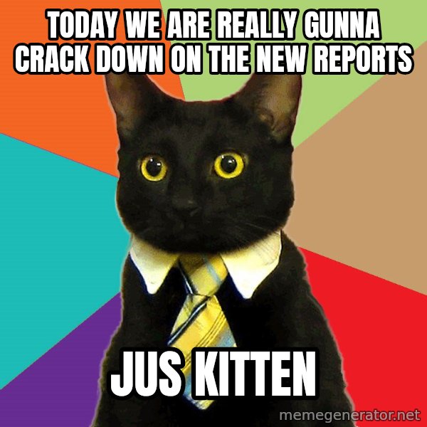 Business Cat meme: Today we are really gunna crack down on the new reports / jus kitten