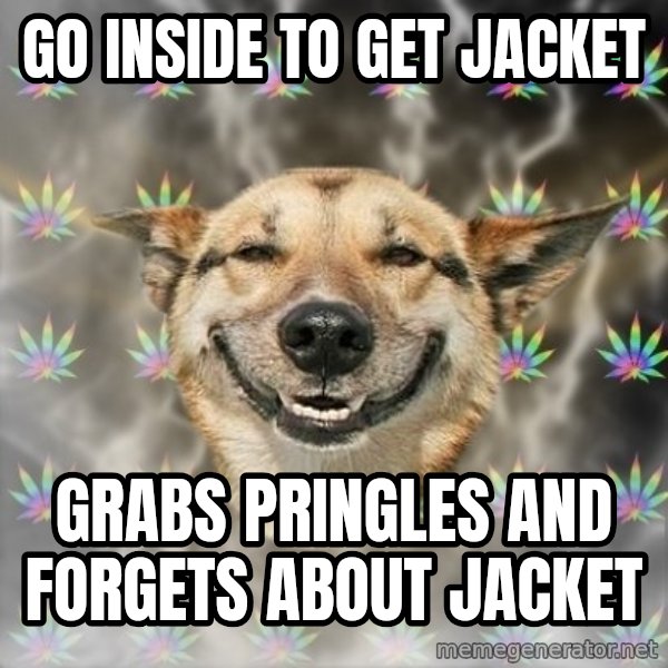 Stoner Dog meme: go inside to get jacket / grabs pringles and forgets about jacket