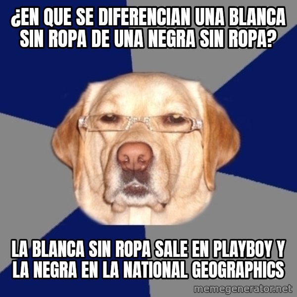 Racist Dog meme: ¿En que se diferencian una blanca sin ropa de una negra sin ropa? / La blanca sin ropa sale en playboy y la negra en la National Geographics