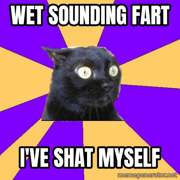 Anxiety Cat meme: wet sounding fart / i've shat myself