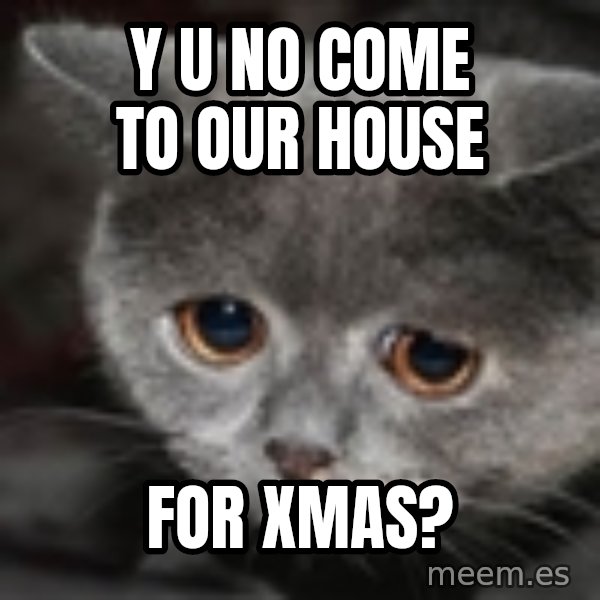 sad cat meme: Y U NO come to our house / for xmas?