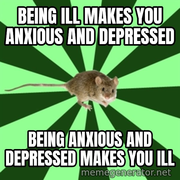 Mental Illness Mouse meme: Being ill makes you anxious and depressed / being anxious and depressed makes you ill