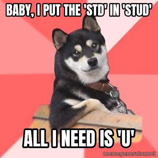 Cool Dog meme: baby, i put the 'std' in 'stud' / all i need is 'u'
