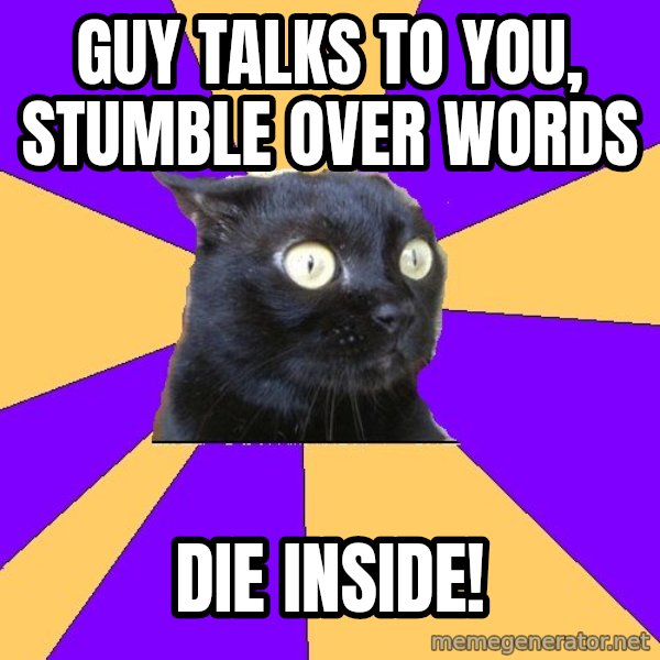 Anxiety Cat meme: Guy talks to you, stumble over words / Die inside!