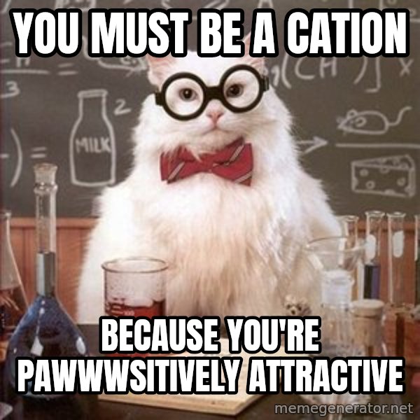 Chemistry Cat meme: You must be a cation / because you're pawwwsitively attractive