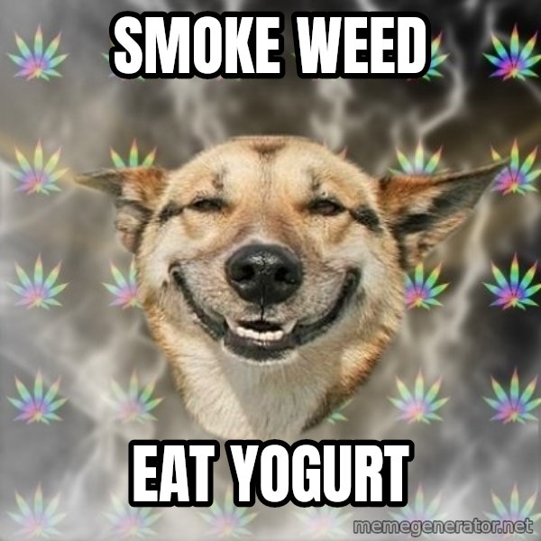 Stoner Dog meme: smoke weed / eat yogurt