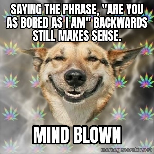 Stoner Dog meme: saying The Phrase, "are you as bored as i am" backwards still makes sense. / Mind Blown