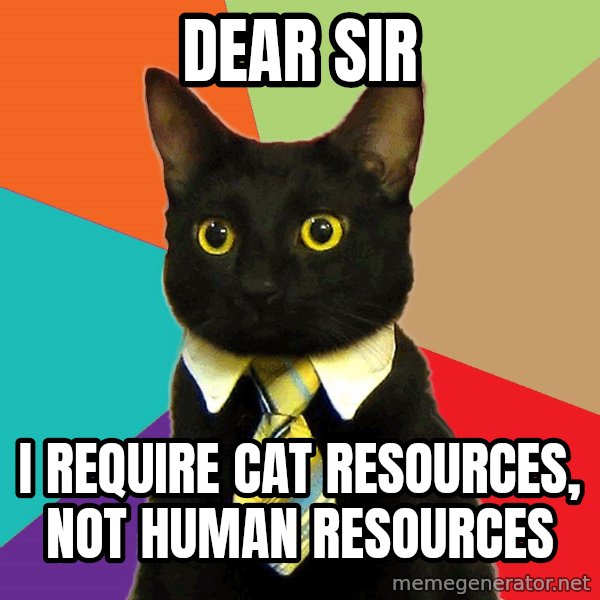 Business Cat meme: Dear Sir / I require Cat Resources, Not human resources