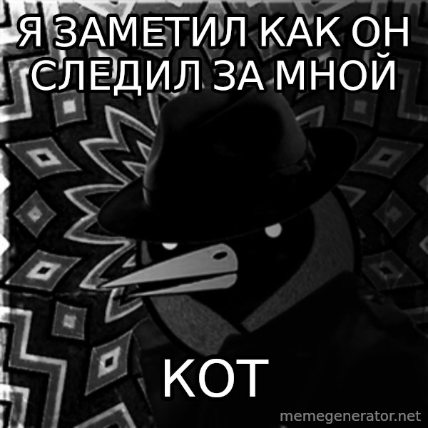 Omsk Crow Noir meme: Я заметил как он следил за мной / кот