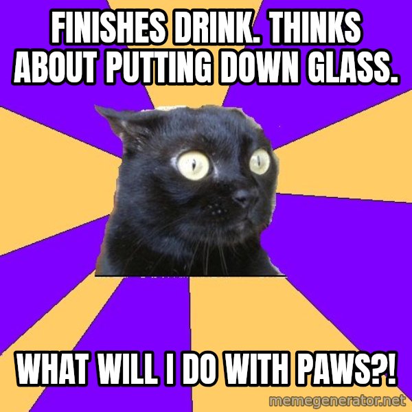 Anxiety Cat meme: Finishes Drink. Thinks about putting down glass. / What will i do with paws?!