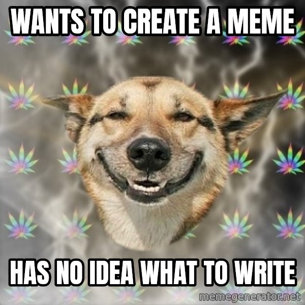 Stoner Dog meme: Wants to create a meme / has no idea what to write