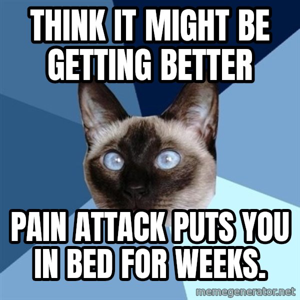 Chronic Illness Cat meme: Think it might be getting better / pain attack puts you in bed for weeks.