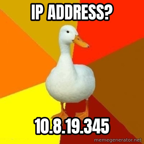 Technologically Impaired Duck meme: ip address? / 10.8.19.345