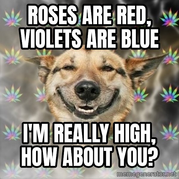 Stoner Dog meme: roses are red, violets are blue / i'm really high,   how about you?