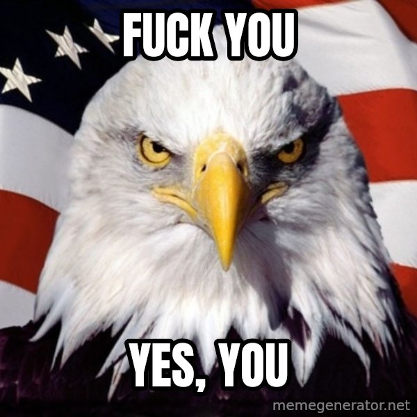 American Pride Eagle meme: fuck you / yes, you