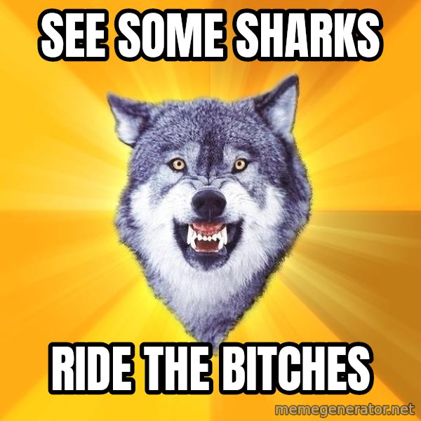 Courage Wolf meme: See some sharks / ride the bitches