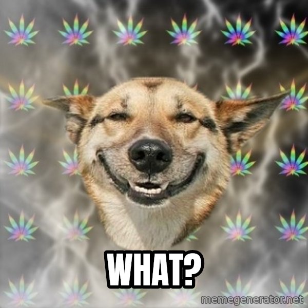 Stoner Dog meme: what?