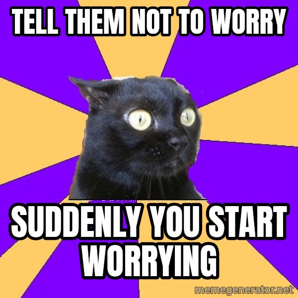Anxiety Cat meme: tell them not to worry / suddenly you start worrying