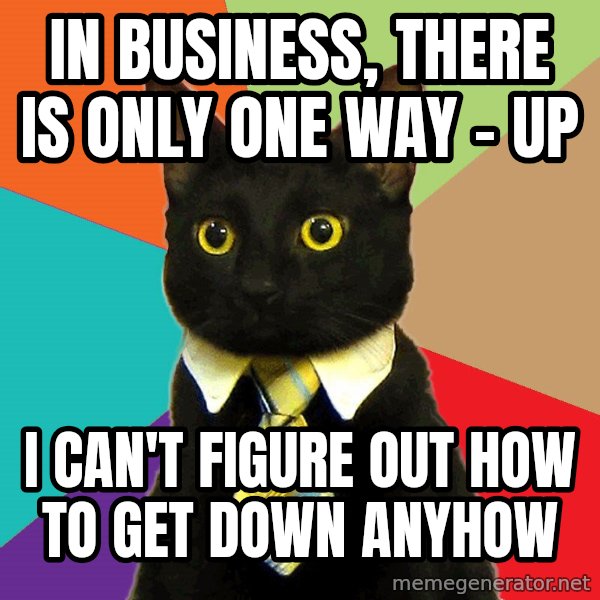 Business Cat meme: In business, there is only one way - up / i can't figure out how to get down anyhow