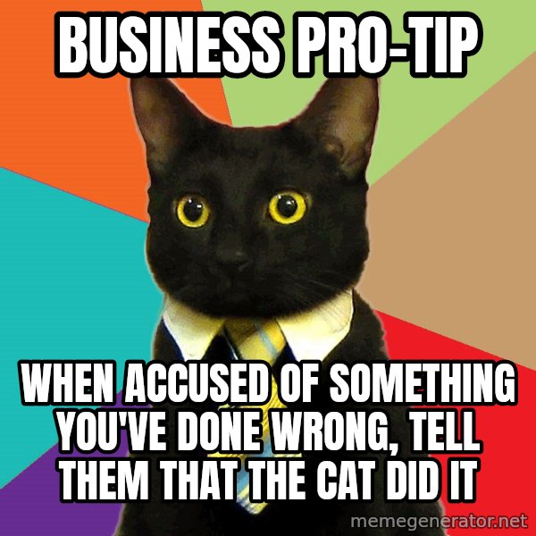 Business Cat meme: business pro-tip / when accused of something you've done wrong, tell them that the cat did it