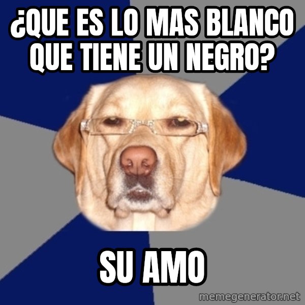 Racist Dog meme: ¿Que es lo mas blanco que tiene un negro? / Su amo