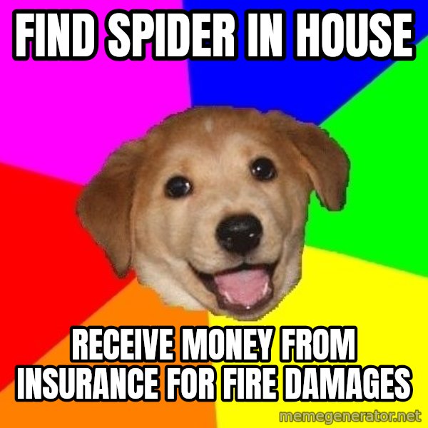 Advice Dog meme: find spider in house / receive money from insurance for fire damages