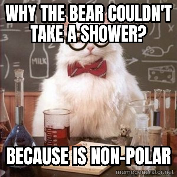 Chemistry Cat meme: Why the bear couldn't take a shower? / Because is non-polar