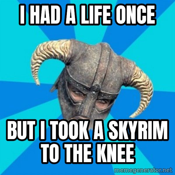 skyrim stan meme: i had a life once / but i took a skyrim to the knee