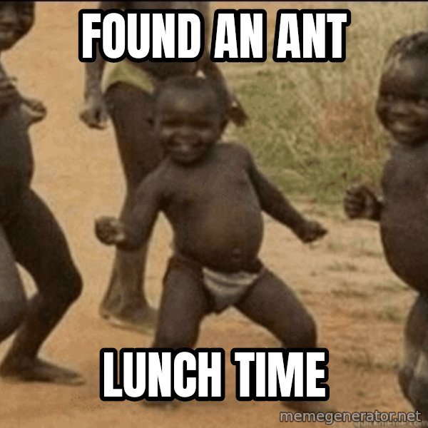 Third World Success meme: Found an ant / lunch time