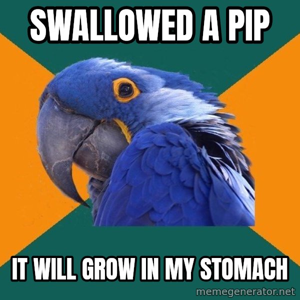 Paranoid Parrot meme: swallowed a pip / it will grow in my stomach