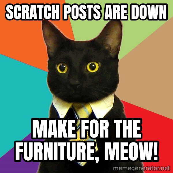 Business Cat meme: scratch posts are down / make for the furniture, meow!