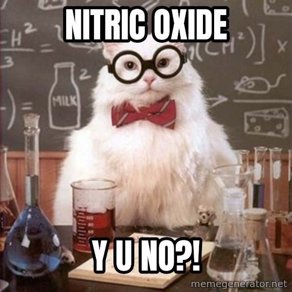 Chemistry Cat meme: nitric oxide / y u no?!