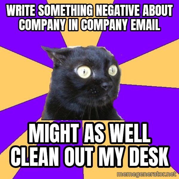 Anxiety Cat meme: WRITE SOMETHING NEGATIVE ABOUT COMPANY IN COMPANY EMAIL / MIGHT AS WELL CLEAN OUT MY DESK