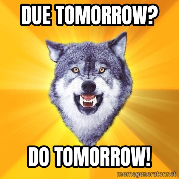 Courage Wolf meme: Due tomorrow? / do tomorrow!