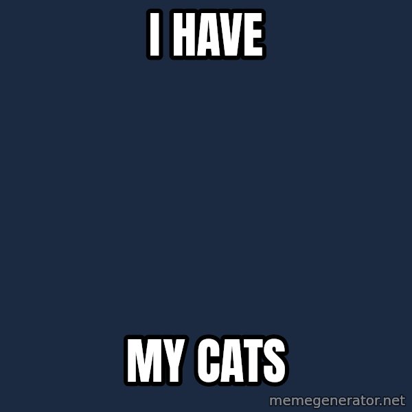 ForeverAloneRussian meme: i have / my cats