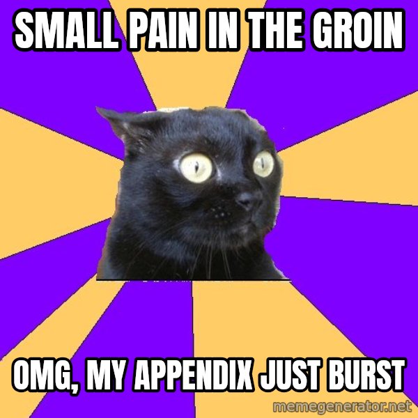 Anxiety Cat meme: Small pain in the groin / omg, my appendix just burst